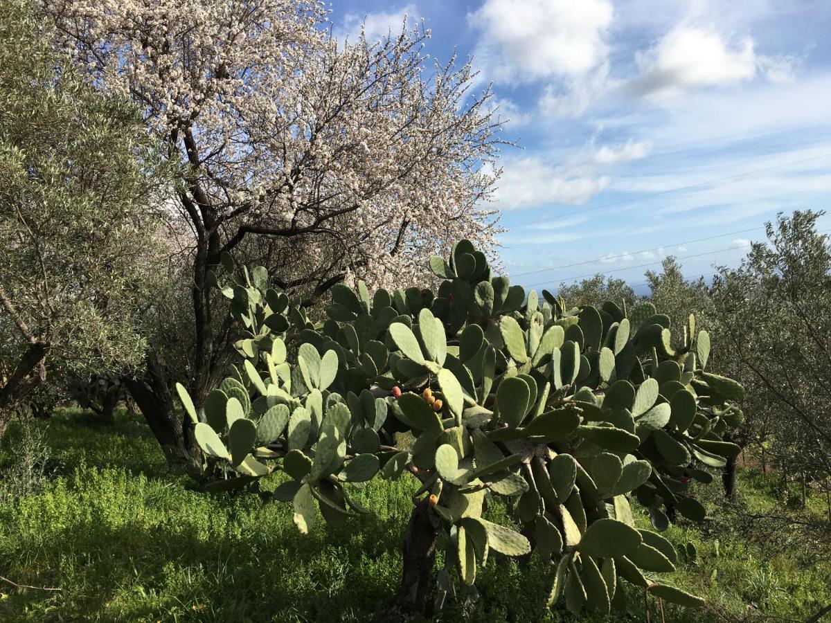 Villa Agriturismo Petrara à Simeri Crichi Extérieur photo